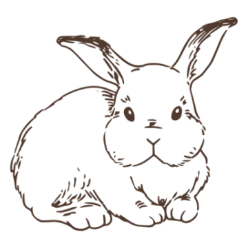 a black and white drawing of a rabbit