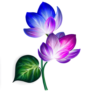 three colorful flowers with leaves on a white background