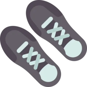 a pair of shoes