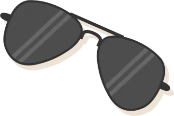 a pair of sunglasses