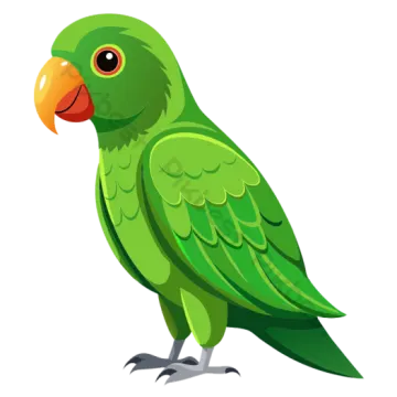 a green parrot on a white background