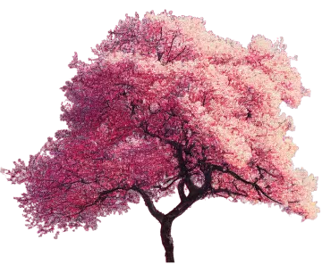 a tree with pink flowers on it