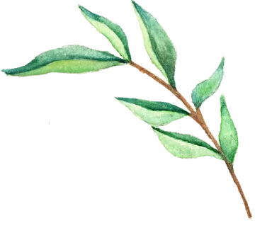a watercolor painting of a green leaf