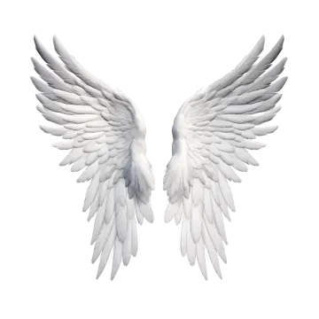 two white wings on a white background