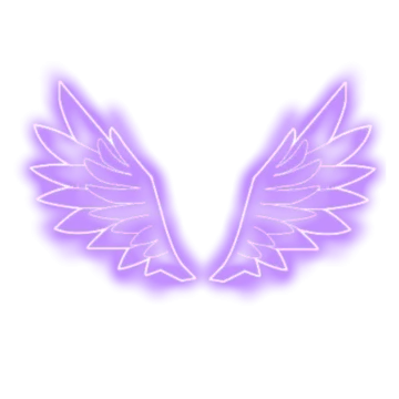 a pair of wings
