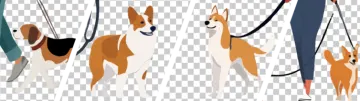 a group of dogs on a transparent background
