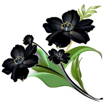 three black flowers on a white background