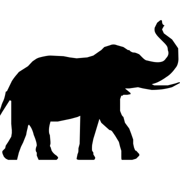 an elephant silhouetted on a white background