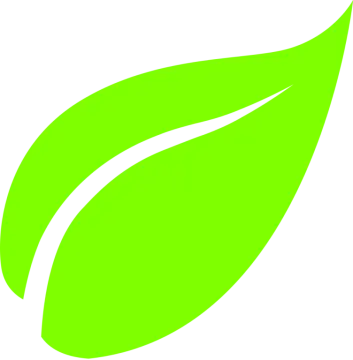 a green leaf on a white background