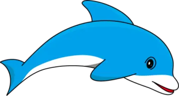 how to draw a dolphin step by step