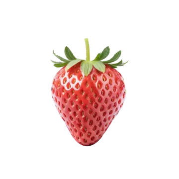 a strawberry on a white background