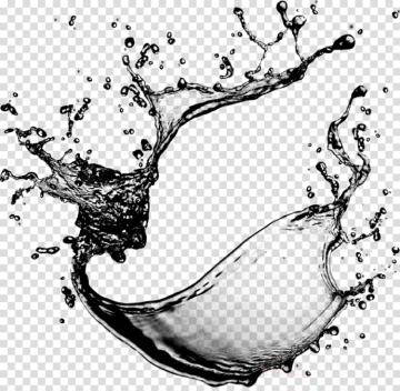 a splash of water on a transparent background