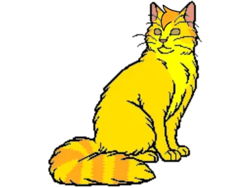 a yellow cat sitting on the ground