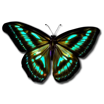 a green and black butterfly on white background