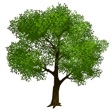 a green tree on a white background