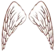 a pair of angel wings