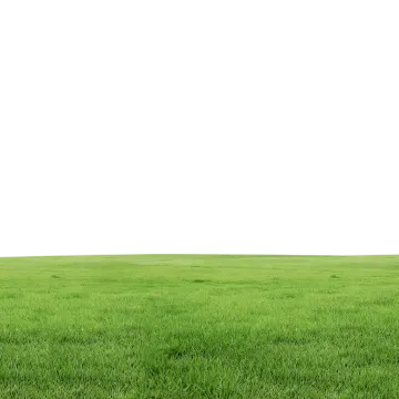a field of green grass with a white sky