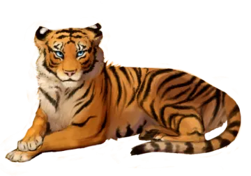 a drawing of a tiger laying down