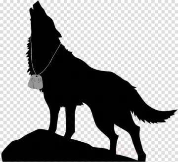 a silhouette of a wolf standing on a rock, with the moon in the background