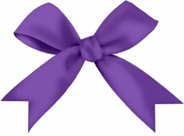 a purple bow on a white background