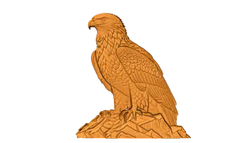 an eagle sitting on top of a rock