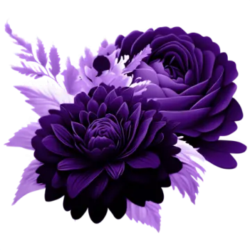 a bunch of purple flowers on white background