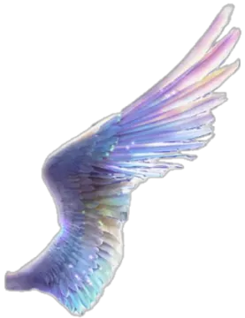 a blue and white bird with wings