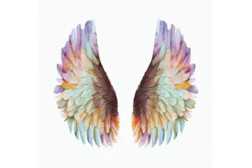 a pair of wings painted in watercolor
