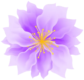 a purple flower on a white background