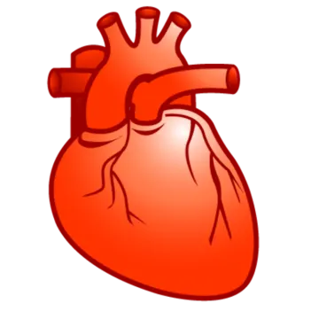 a red heart