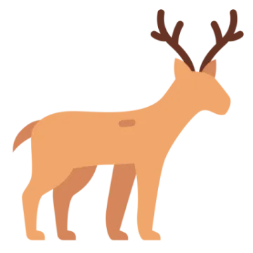 a brown deer standing on a white background