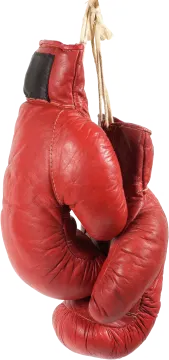 a pair of red boxing gloves hanging on a rope