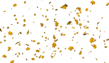 a bunch of yellow leaves flying in the air