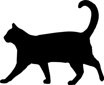 a black cat silhouetted on a white background