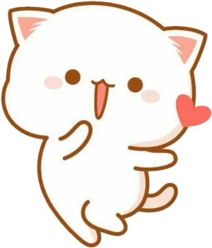 a white cat with a heart in its mouth