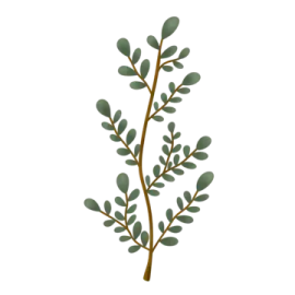 a branch with green leaves on it