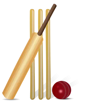 a cricket bat and ball