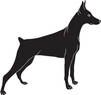 a black and white dog silhouetted on a white background