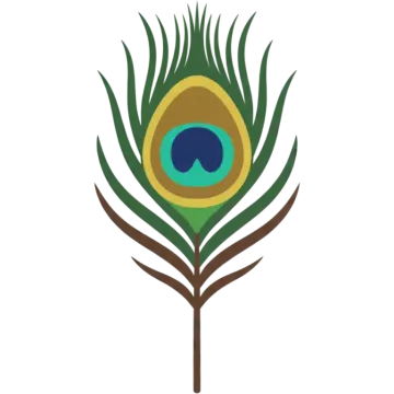 a peacock feather on a white background