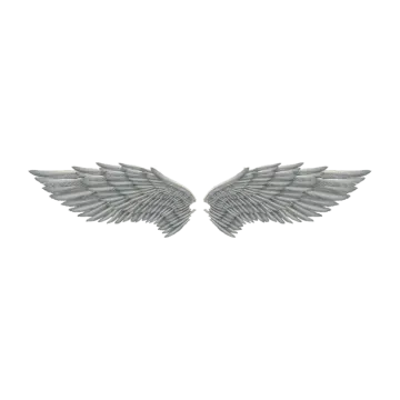 a pair of wings on a white background