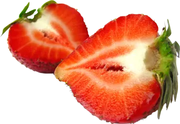 two strawberries on a white background