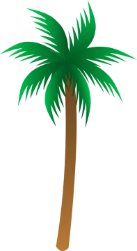 a palm tree with green leaves