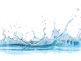 water splash on a white background