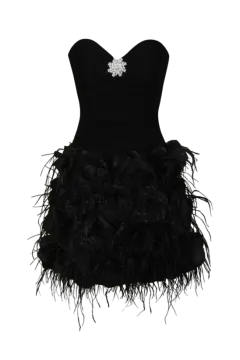 a black dress with feathers on it