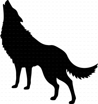 a wolf silhouetted on a white background