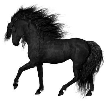 a black horse running on a white background