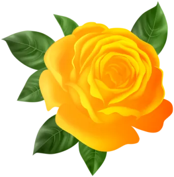 a yellow rose with green leaves