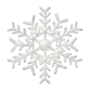 a silver snowflake on a white background