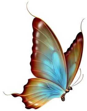a blue and brown butterfly on white background