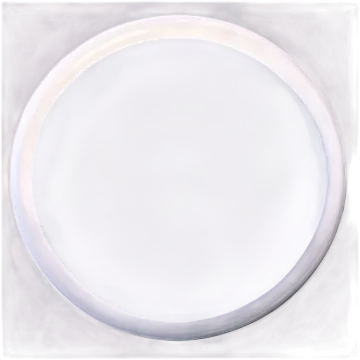 a drawing of a plate with a white background